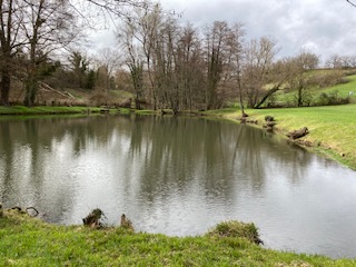 IMG 4660