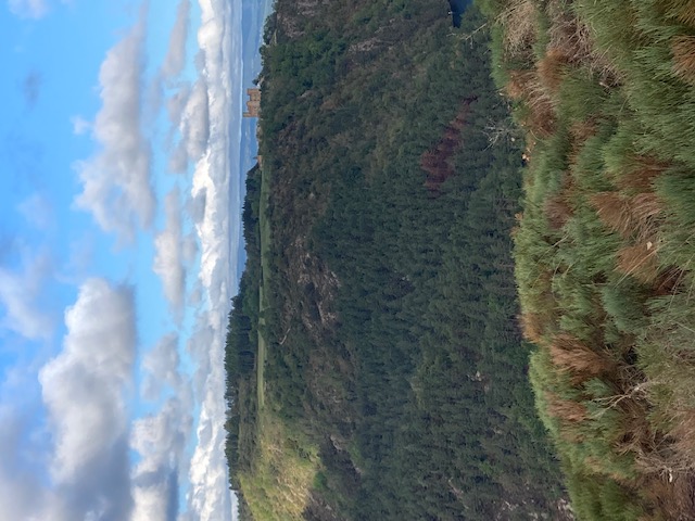 IMG 3836