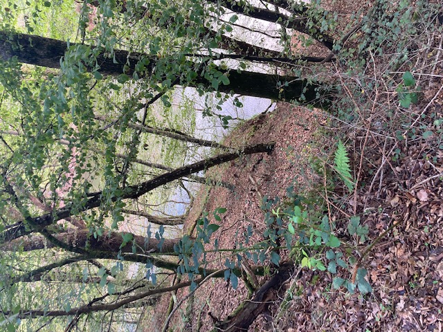 IMG 3844