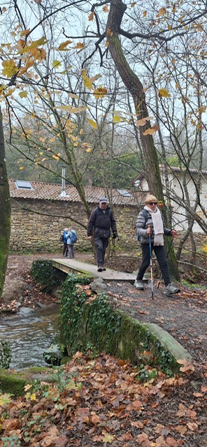 98221002 8ad9 42f5 9298 16bd96f62996