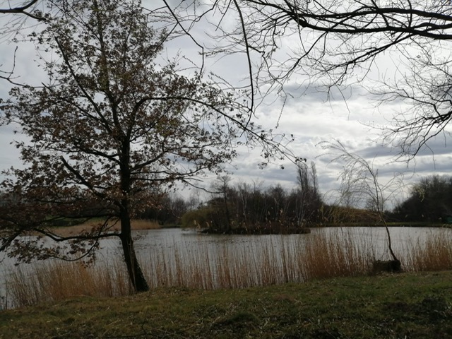 2023 03 18 sur les Hauteurs de Vienne