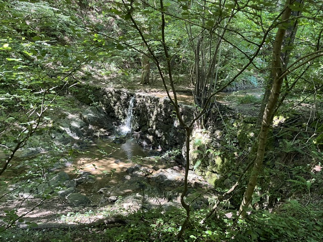 Samedi 27 juin 2026 Saint Didier sous Riverie