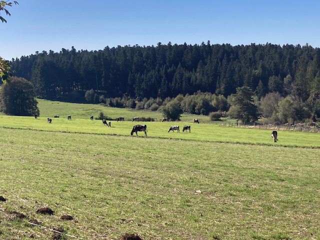 Samedi 14 mai 2022 : Les Sauvages