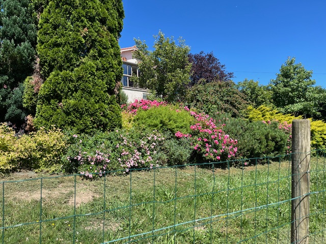 Sainte Catherine