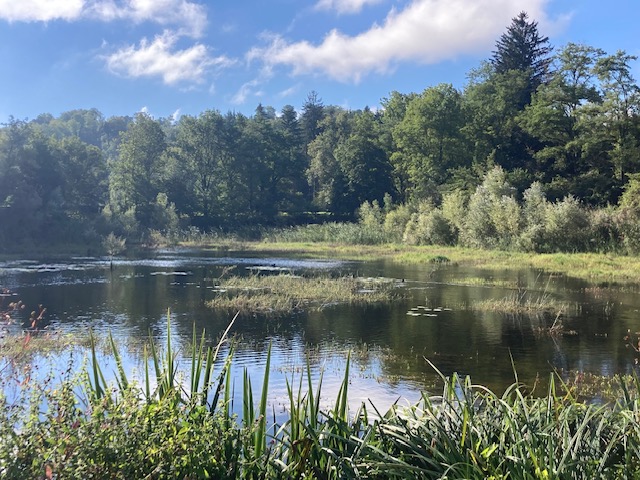 Samedi 14 septembre ROCHE