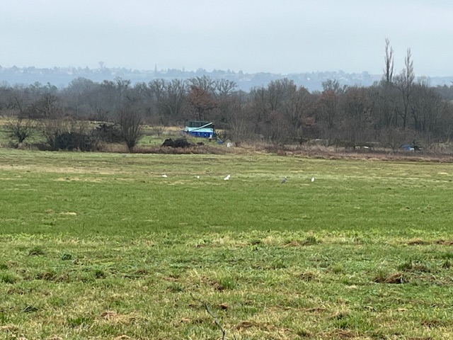 Samedi 24 janvier 2026 IRIGNY