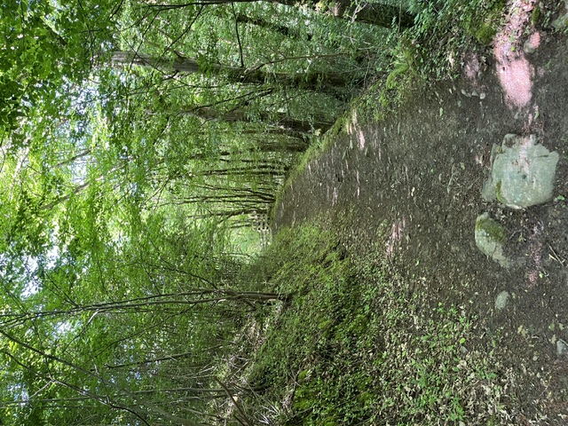Samedi 27 juin 2026 Saint Didier sous Riverie