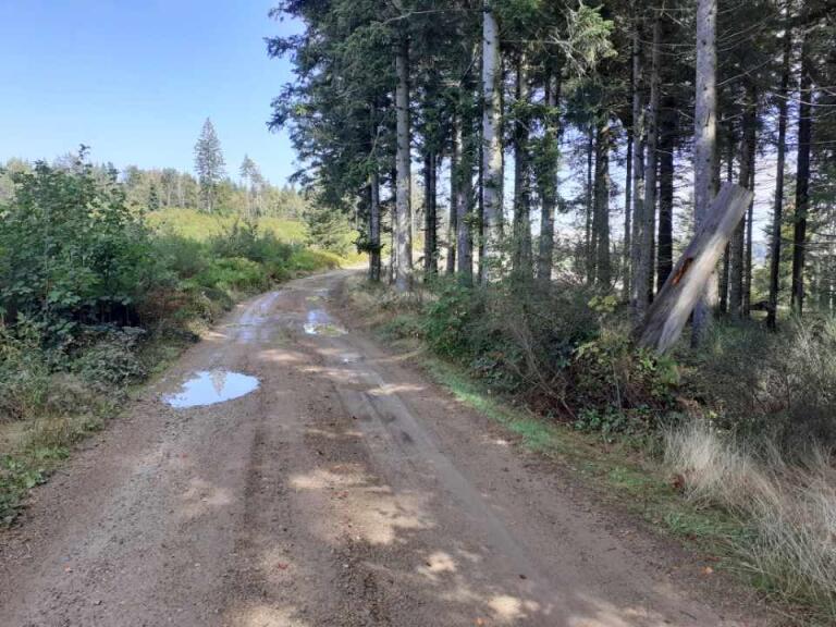 Samedi 27 septembre 2025 Salvaris