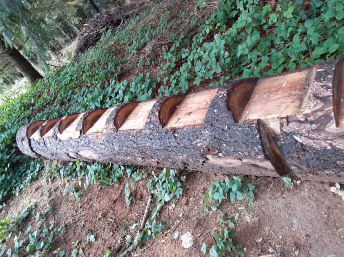 Samedi 27 septembre 2025 Salvaris