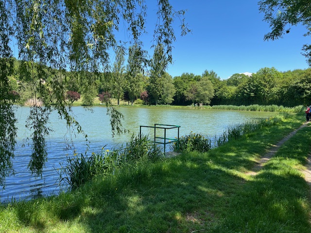 Samedi 17 mai Crémieu