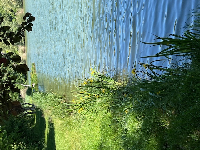 Samedi 17 mai Crémieu