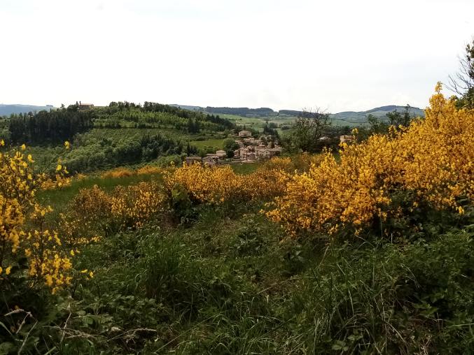 Samedi 14 mai 2022 : Les Sauvages