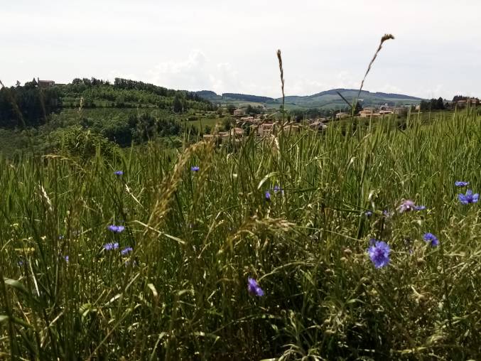 Samedi 14 mai 2022 : Les Sauvages